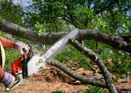 Best Lawn Maintenance Plans  in Hagerstown, MD